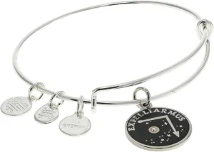 Alex and Ani AS615522Expandable Bangle BraceletSS,Harry Potter, Expelliarmus Expandable Bangle Bracelet,Shiny Silver,Black, Bracelets