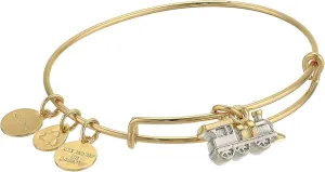 Alex and Ani Charity by Design, Train Bangle Bracelet, Two-Tone Shiny Gold One Size