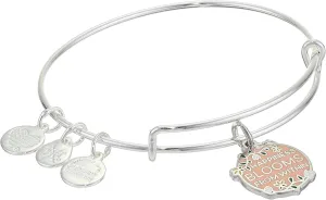 Alex and Ani Color Infusion Bangle Bracelet Silver/Happiness Blooms One Size, Shiny Silver, A20EBWAP19SS, A20EBWAP19SS, A20EBWAP19SS, A20EBWAP19SS