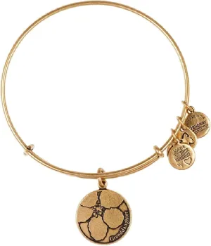 Alex And Ani Granddaughter Charm Rafaelian Gold Finish Bangle Bracelet A13EB07RG