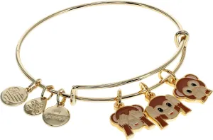 Alex and Ani See Hear Speak Emoji Expandable Wire Bangle Bracelet,Shiny Gold Finish,Brown Charm