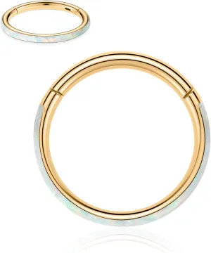 FUNLMO 316L Surgical Steel Nose Ring Hoop Opal Cartilage Earring Conch Daith Rook Orbital Helix Daith Tragus Piercing Jewelry Cartilage Septum Jewelry Cartilage Conch Hoop Earring