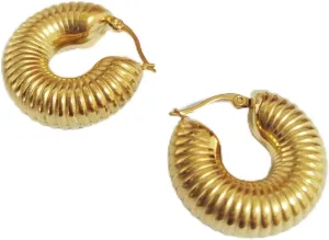 Hoop Earrings for Women Hypoallergenic Stainless Steel Earrings Lightweight Trendy Chunky Hoops