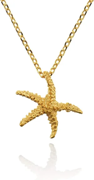 namana Starfish Pendant Necklace for Women, Brushed Finish Sea Star Necklaces for Women, Dainty Necklace for Women with a Starfish Pendant, Fashion Jewelry with Gift Box.